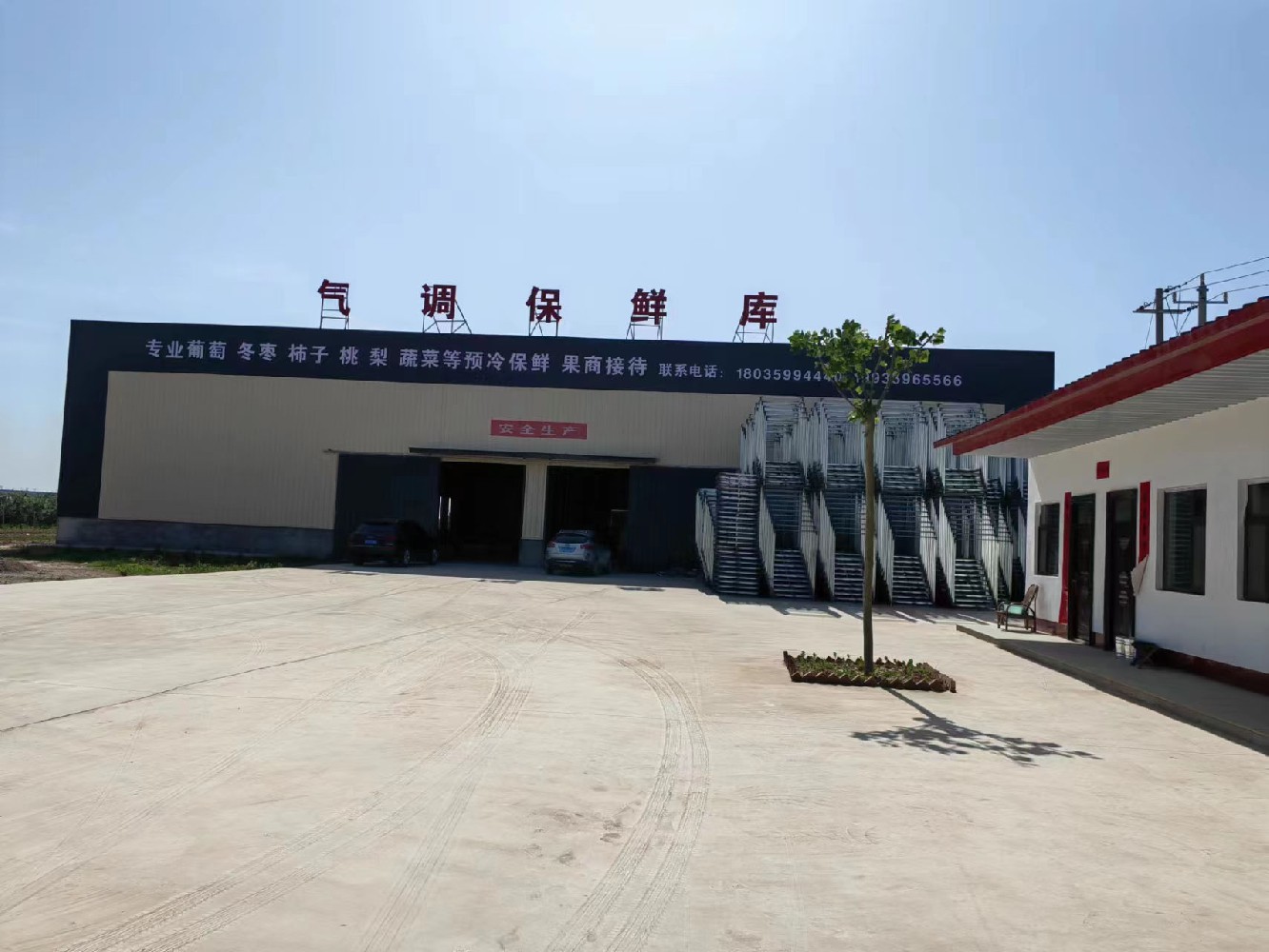 Case display of air-conditioned cold store in Jilin